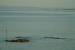 Pagina 35